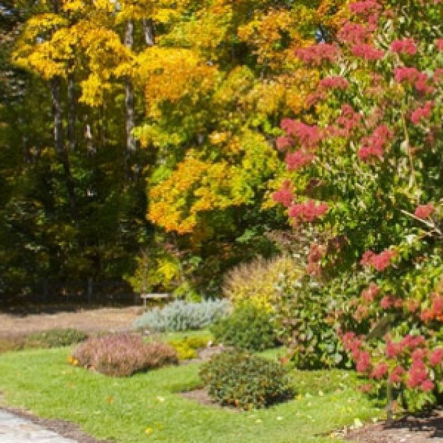 Garden In Autumn