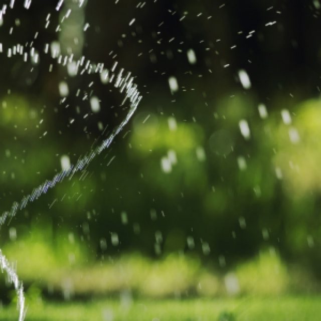 Sprinkler Header