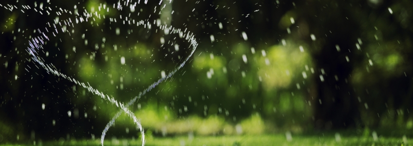 Sprinkler Header