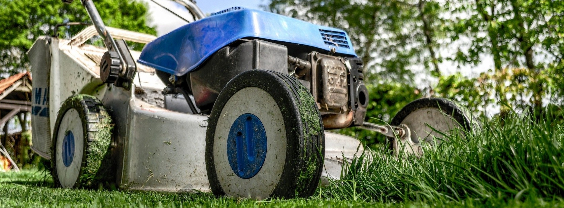Lawn Mower