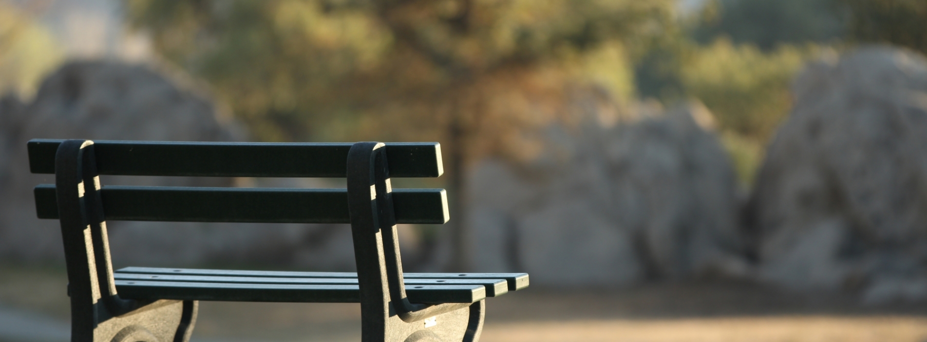 Bench