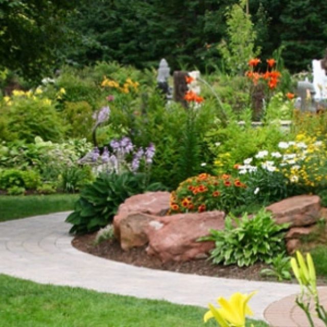 Garden In Spring
