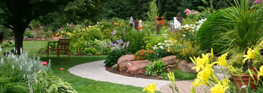 Garden In Spring
