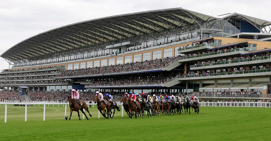 Horse Racing Track