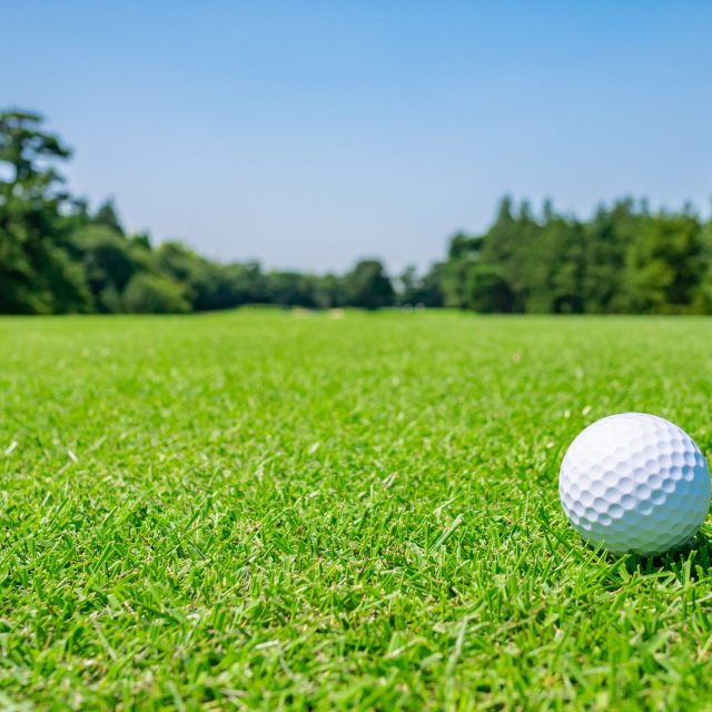 Golf Ball On Golf Course