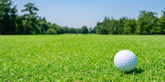 Golf Ball On Golf Course