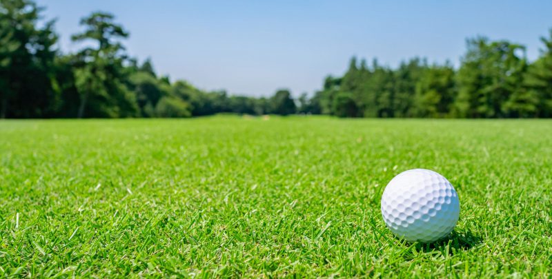 Golf Ball On Golf Course