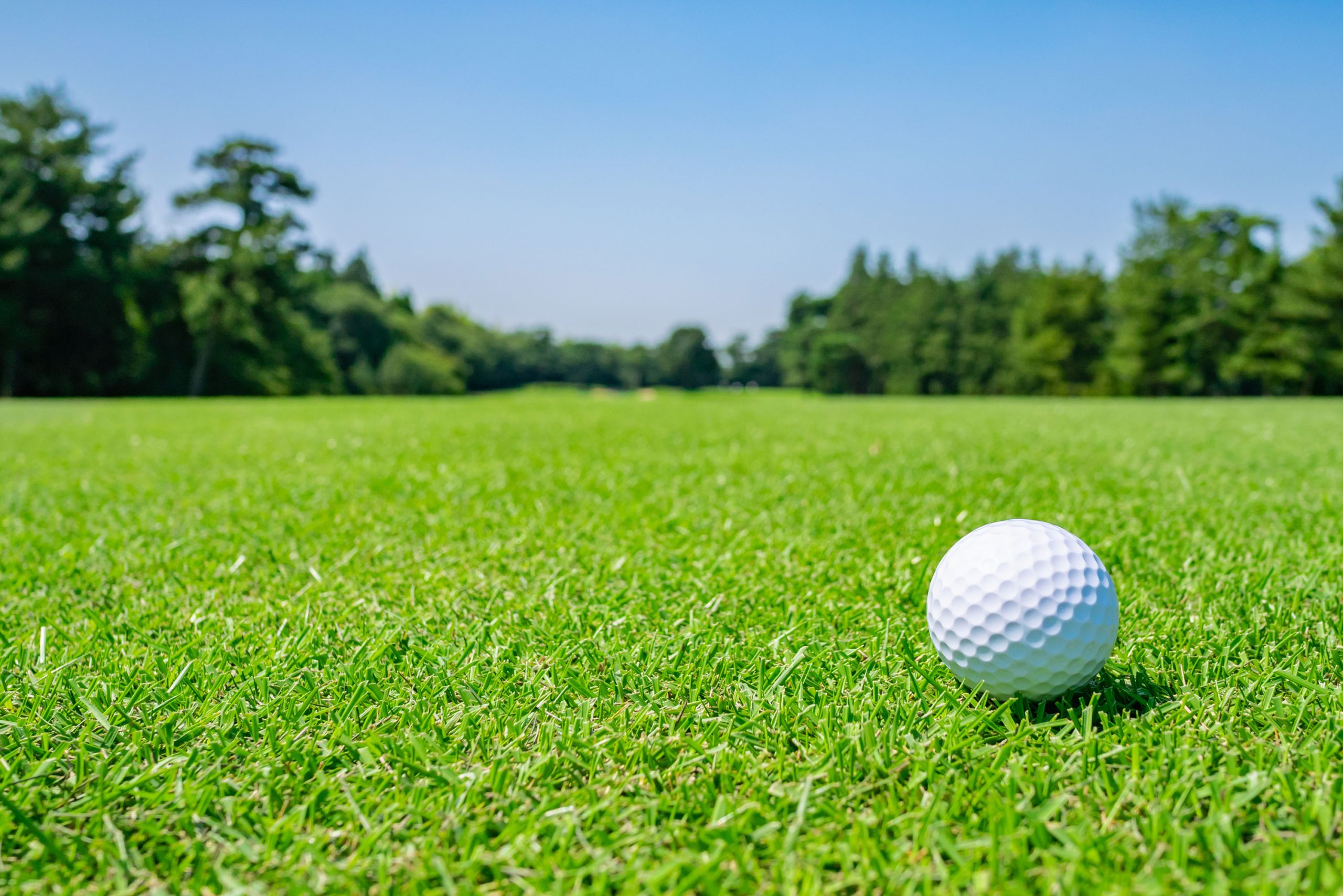 Golf Ball On Golf Course