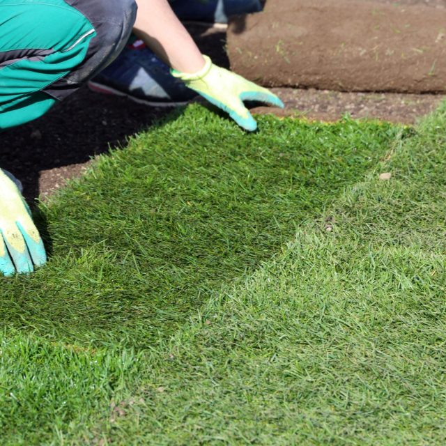 Laying Turf