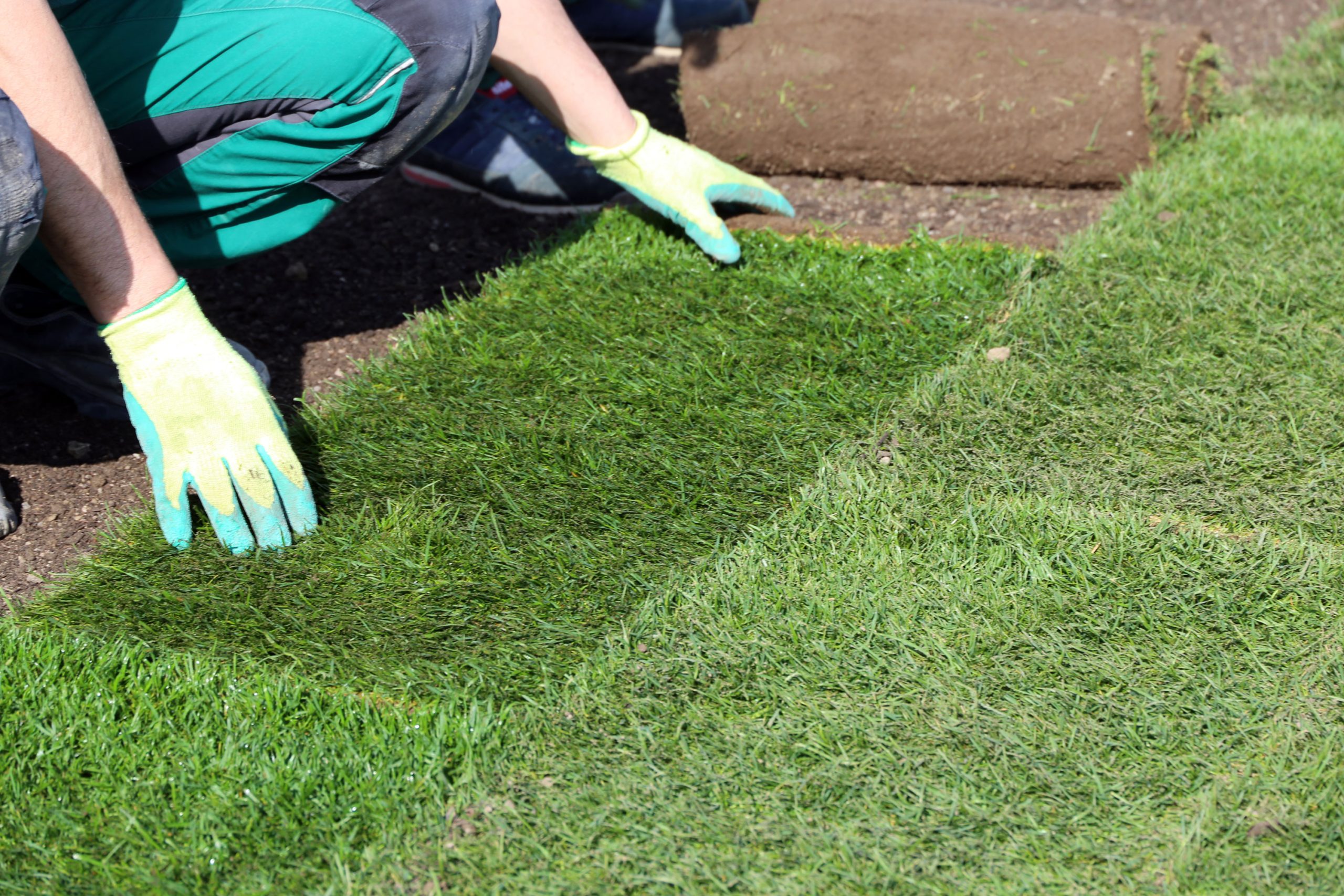 Laying Turf