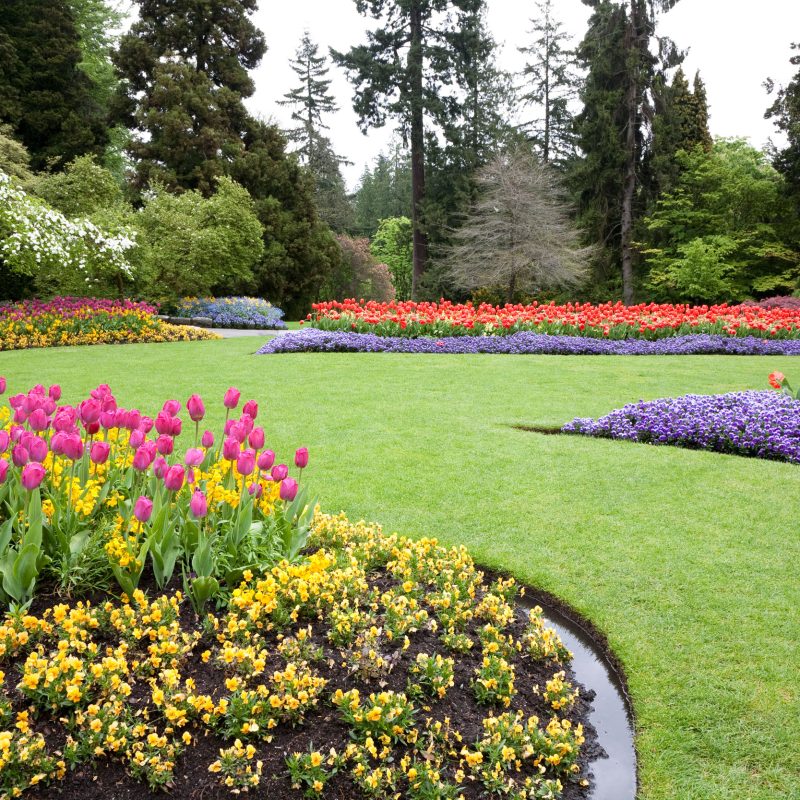 Garden With Turf And Flowers