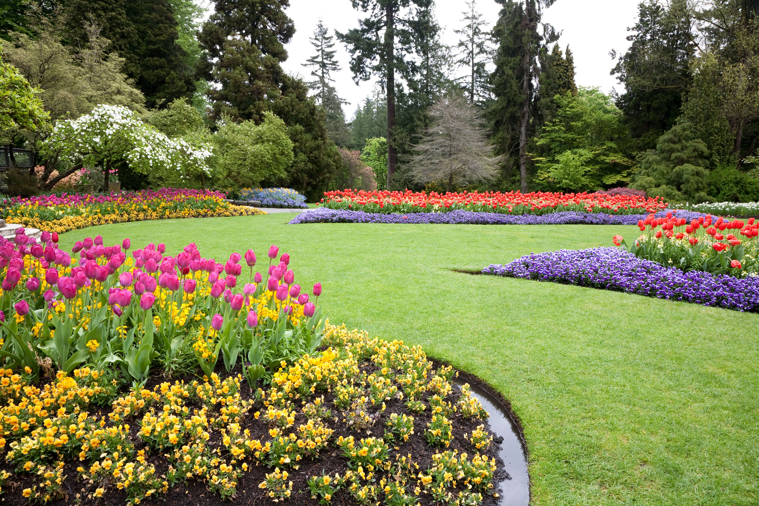 Garden With Turf And Flowers