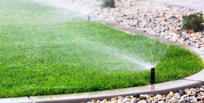 Sprinkler On Turf