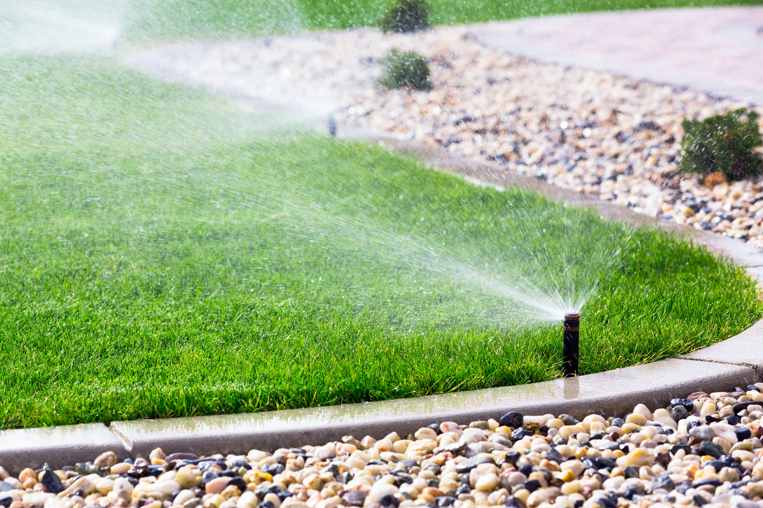 Sprinkler On Turf