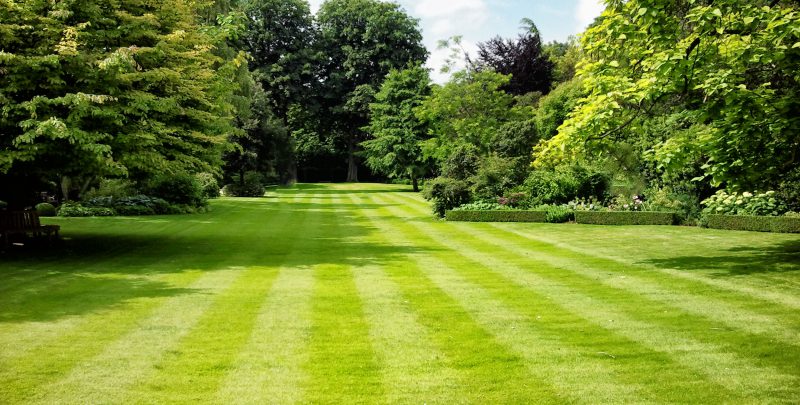 Freshly Cut Grass