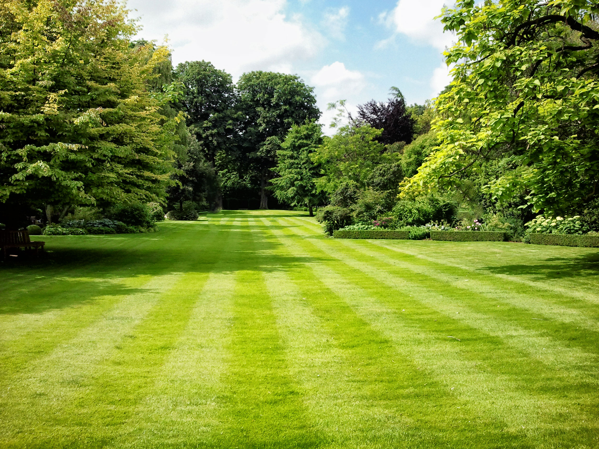 Freshly Cut Grass