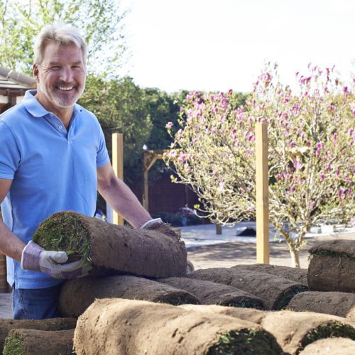 Gardener Laying Turf