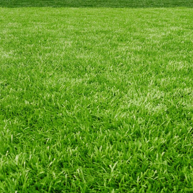 Close Up Of Artificial Turf