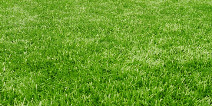 Close Up Of Artificial Turf