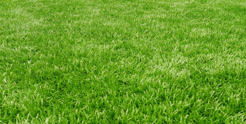 Close Up Of Artificial Turf