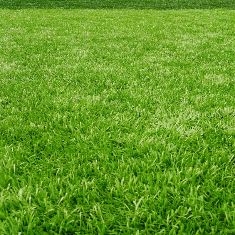 Close Up Of Artificial Turf